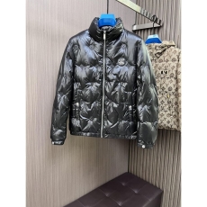 Louis Vuitton Down Jackets